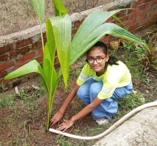 ECO CLUB ACTIVITY EK  PED KE NAAM 2.0